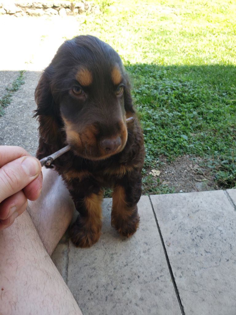 Ursule loralimaze de l etang au miroir